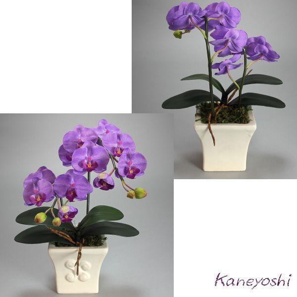 光触媒 胡蝶蘭 造花 インテリア 小輪 1本立 ショート 紫 パープル お祝 ギフト 記念品 誕生日 発表会 新築 開店 花 フェイクグリーン 空気清浄 |  | 01