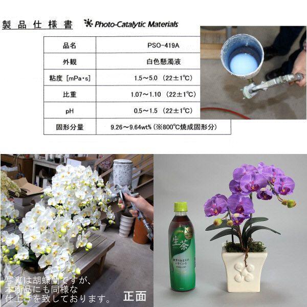 光触媒 胡蝶蘭 造花 インテリア 小輪 1本立 ショート 紫 パープル お祝 ギフト 記念品 誕生日 発表会 新築 開店 花 フェイクグリーン 空気清浄 |  | 03