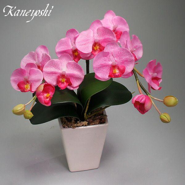 光触媒 胡蝶蘭 造花 インテリア 小輪 1本立 ショート ピンク 桃色 お祝 ギフト 記念品 誕生日 発表会 新築 開店 花 フェイクグリーン 空気清浄 |  | 01