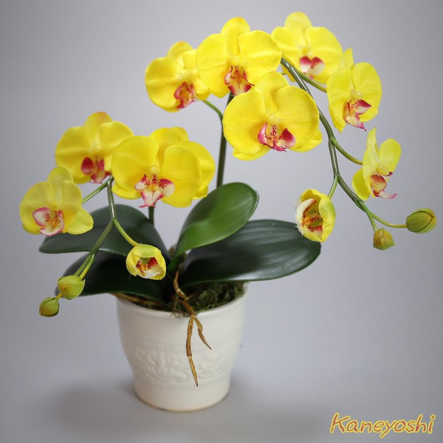 光触媒 胡蝶蘭 造花 インテリア 小輪 1本立 ショート イエロー 黄色 お祝 ギフト 記念品 誕生日 発表会 新築 開店 花 フェイクグリーン 空気清浄 |  | 01