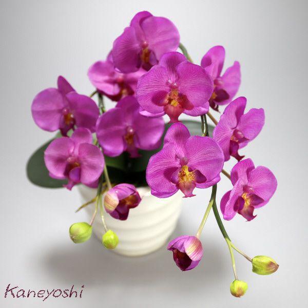 光触媒 胡蝶蘭 造花 インテリア 小輪 1本立 ショート バイオレット 紫色 お祝 ギフト 記念品 誕生日 発表会 新築 開店 花 フェイクグリーン 空気清浄 |  | 01