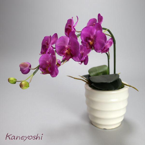 光触媒 胡蝶蘭 造花 インテリア 小輪 1本立 ショート バイオレット 紫色 お祝 ギフト 記念品 誕生日 発表会 新築 開店 花 フェイクグリーン 空気清浄 |  | 03