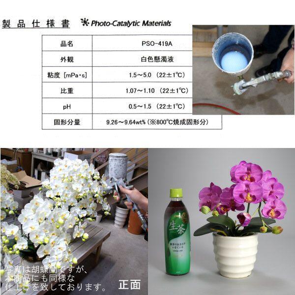 光触媒 胡蝶蘭 造花 インテリア 小輪 1本立 ショート バイオレット 紫色 お祝 ギフト 記念品 誕生日 発表会 新築 開店 花 フェイクグリーン 空気清浄 |  | 05