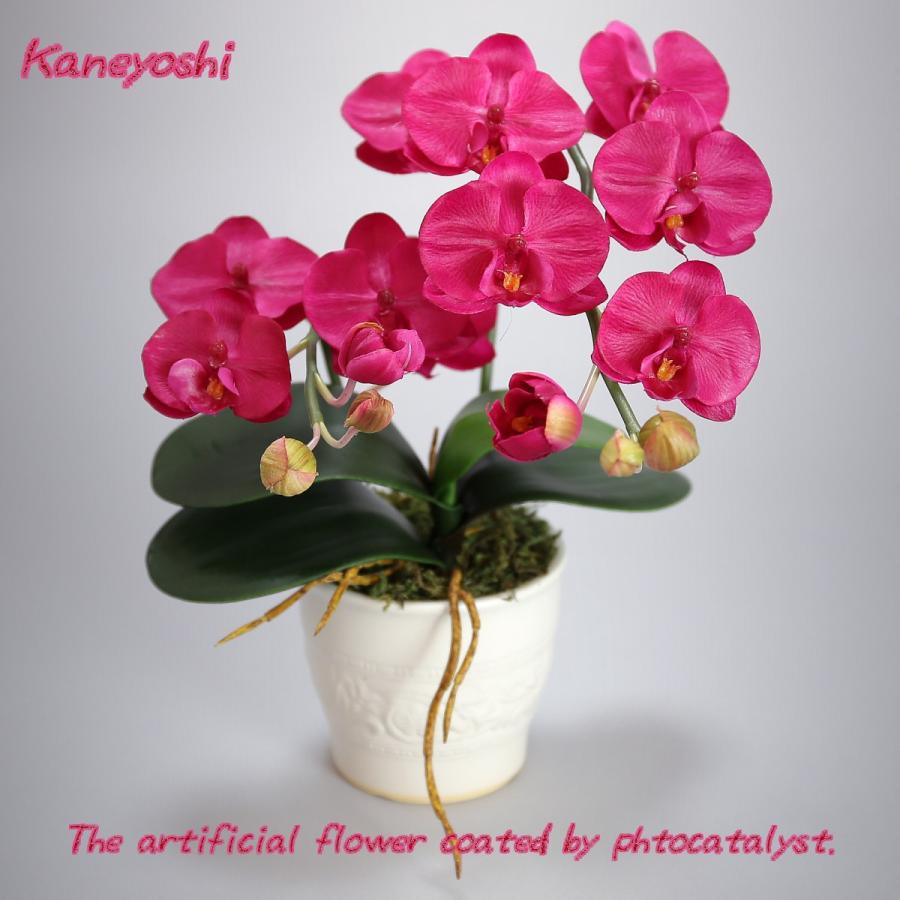 お祝い お供えの花 仏花 フラワーギフト 光触媒胡蝶蘭小輪 １本立ショート レッド ブランド雑貨総合