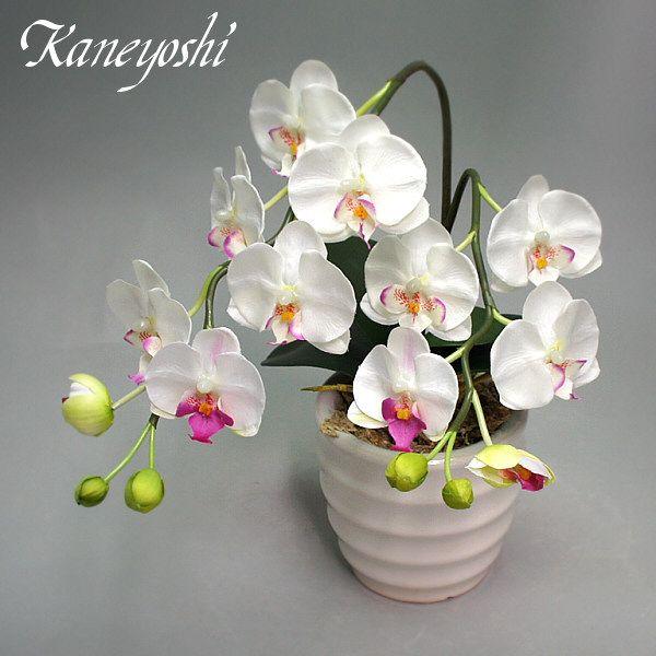 光触媒 胡蝶蘭 造花 インテリア 小輪 1本立 ロング ホワイトA 白色 お祝 ギフト 記念品 誕生日 発表会 新築 開店 花 フェイクグリーン 空気清浄 |  | 01