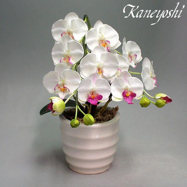 光触媒 胡蝶蘭 造花 インテリア 小輪 1本立 ロング ホワイトA 白色 お祝 ギフト 記念品 誕生日 発表会 新築 開店 花 フェイクグリーン 空気清浄 |  | 02