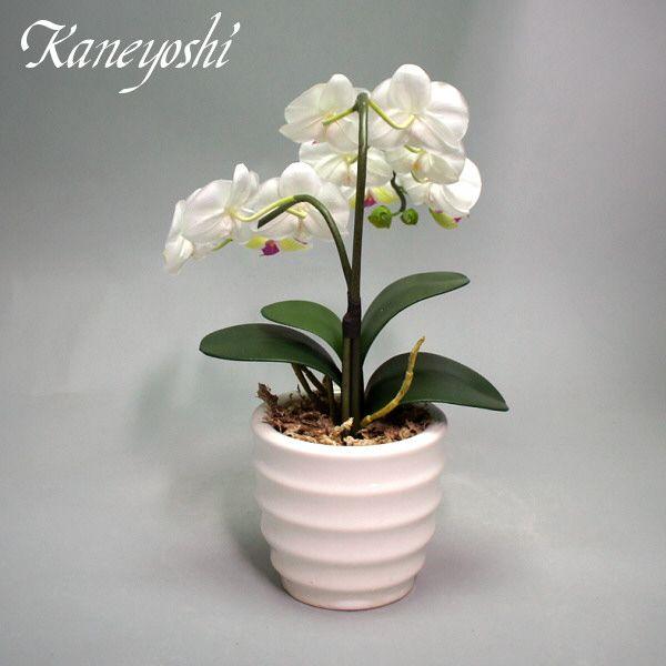 光触媒 胡蝶蘭 造花 インテリア 小輪 1本立 ロング ホワイトA 白色 お祝 ギフト 記念品 誕生日 発表会 新築 開店 花 フェイクグリーン 空気清浄 |  | 03