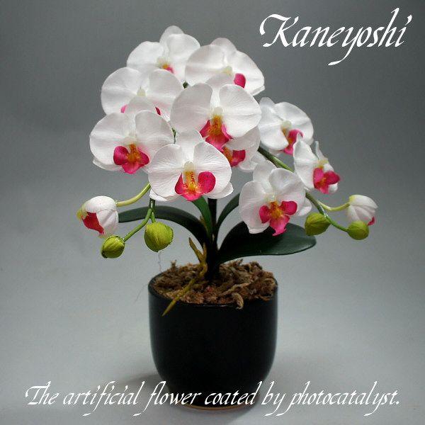 光触媒 胡蝶蘭 造花 インテリア 小輪 1本立 ロング ホワイトピンクB 白色 お祝 ギフト 記念品 誕生日 発表会 新築 開店 花 フェイクグリーン 空気清浄 | 