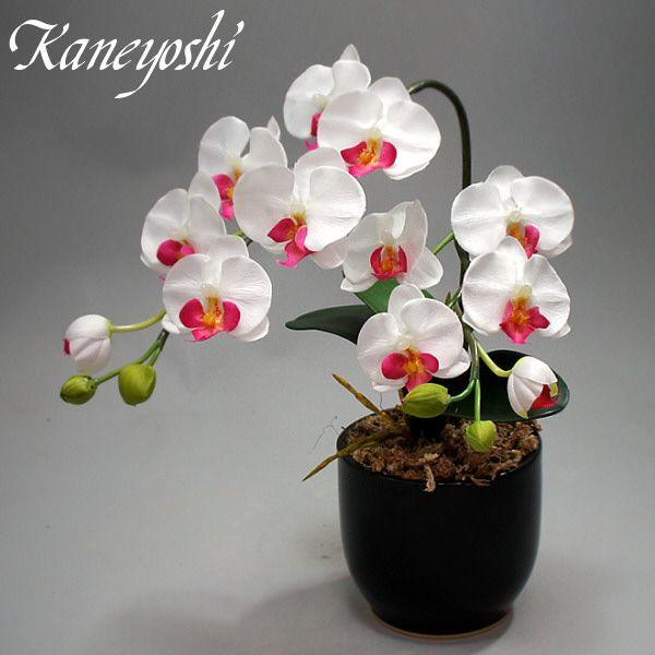 光触媒 胡蝶蘭 造花 インテリア 小輪 1本立 ロング ホワイトピンクB 白色 お祝 ギフト 記念品 誕生日 発表会 新築 開店 花 フェイクグリーン 空気清浄 |  | 01