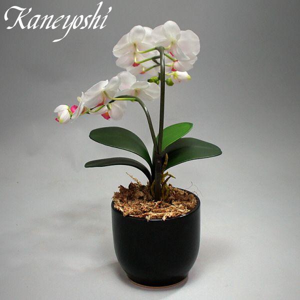 光触媒 胡蝶蘭 造花 インテリア 小輪 1本立 ロング ホワイトピンクB 白色 お祝 ギフト 記念品 誕生日 発表会 新築 開店 花 フェイクグリーン 空気清浄 |  | 03