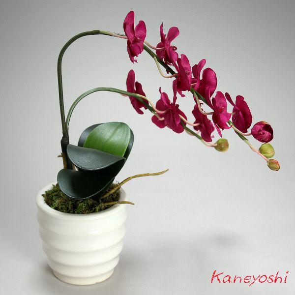 光触媒 胡蝶蘭 造花 インテリア 小輪 1本立 ロング レッド 赤色 お祝 ギフト 記念品 誕生日 発表会 新築 開店 花 フェイクグリーン 空気清浄 |  | 01