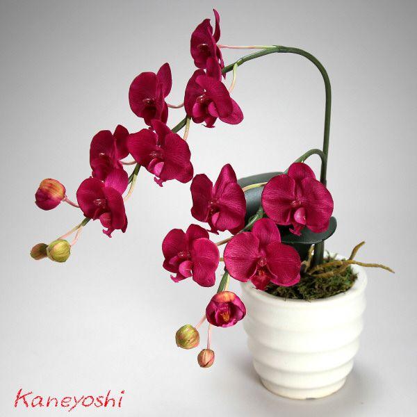 光触媒 胡蝶蘭 造花 インテリア 小輪 1本立 ロング レッド 赤色 お祝 ギフト 記念品 誕生日 発表会 新築 開店 花 フェイクグリーン 空気清浄 |  | 02
