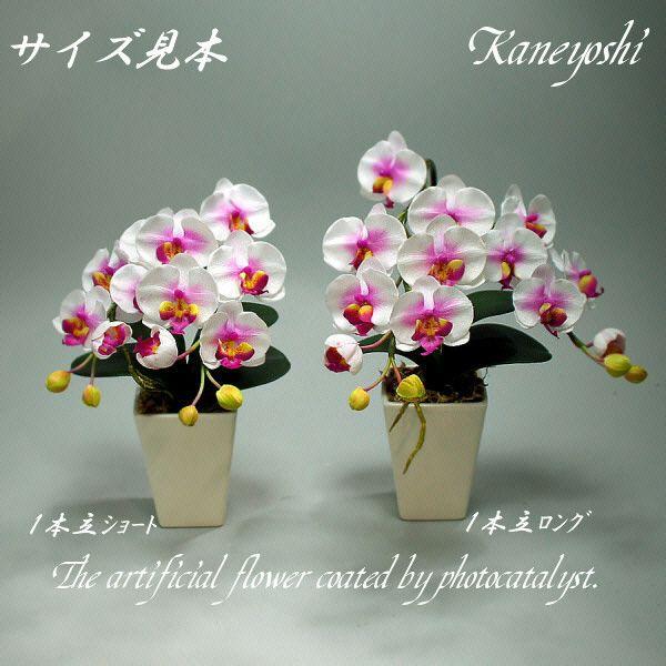 光触媒 胡蝶蘭 造花 インテリア 小輪 1本立 ロング レッド 赤色 お祝 ギフト 記念品 誕生日 発表会 新築 開店 花 フェイクグリーン 空気清浄 |  | 04