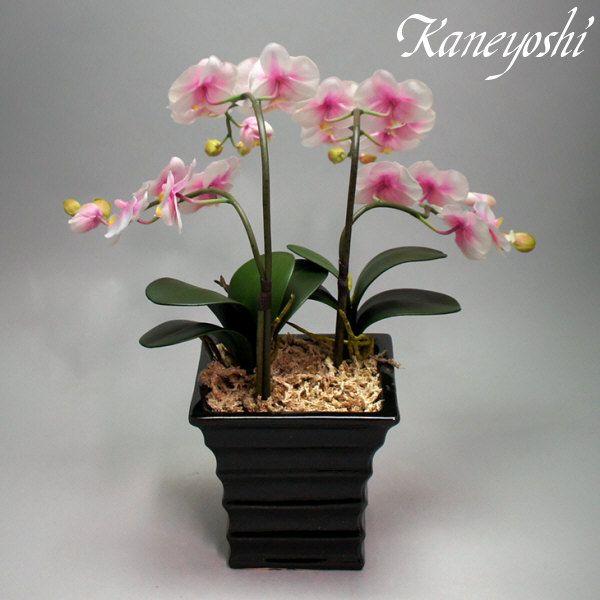 光触媒 胡蝶蘭 造花 インテリア 小輪 2本立 ミルキーピンク 桃色 お祝 ギフト 記念品 誕生日 発表会 新築 開店 花 フェイクグリーン 空気清浄 |  | 03