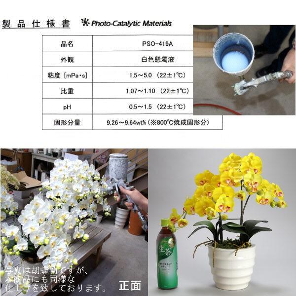 光触媒 胡蝶蘭 造花 インテリア 小輪 2本立 イエロー 黄色 お祝 ギフト 記念品 誕生日 発表会 新築 開店 花 フェイクグリーン 空気清浄 |  | 04