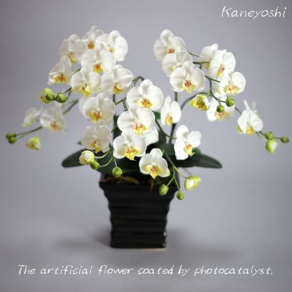 光触媒 胡蝶蘭 造花 インテリア 小輪 3本立 ホワイトB 白色 お祝 ギフト 記念品 誕生日 発表会 新築 開店 花 フェイクグリーン 空気清浄 | 