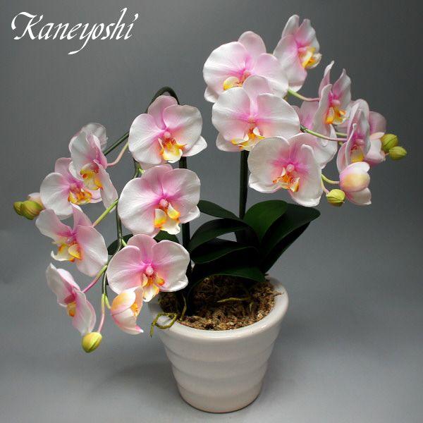 光触媒 胡蝶蘭 造花 インテリア 大輪 2本立 ミルキーピンク 桃色 お祝 ギフト 記念品 誕生日 発表会 新築 開店 花 フェイクグリーン 空気清浄 |  | 01