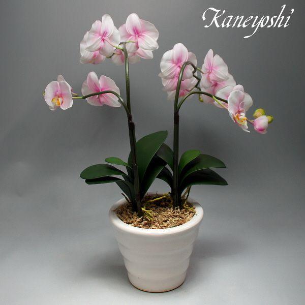 光触媒 胡蝶蘭 造花 インテリア 大輪 2本立 ミルキーピンク 桃色 お祝 ギフト 記念品 誕生日 発表会 新築 開店 花 フェイクグリーン 空気清浄 |  | 04