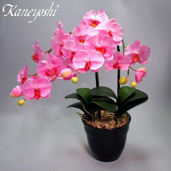 光触媒 胡蝶蘭 造花 インテリア 大輪 2本立 ピンク 桃色 お祝 ギフト 記念品 誕生日 発表会 新築 開店 花 フェイクグリーン 空気清浄 |  | 02