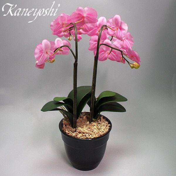 光触媒 胡蝶蘭 造花 インテリア 大輪 2本立 ピンク 桃色 お祝 ギフト 記念品 誕生日 発表会 新築 開店 花 フェイクグリーン 空気清浄 |  | 03