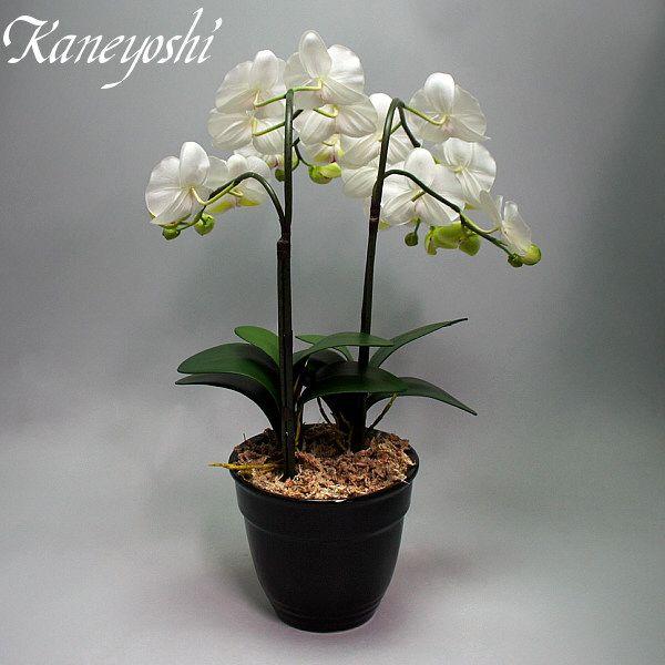 光触媒 胡蝶蘭 造花 インテリア 大輪 2本立 ホワイトＡ 白色 お祝 ギフト 記念品 誕生日 発表会 新築 開店 花 フェイクグリーン 空気清浄 |  | 03