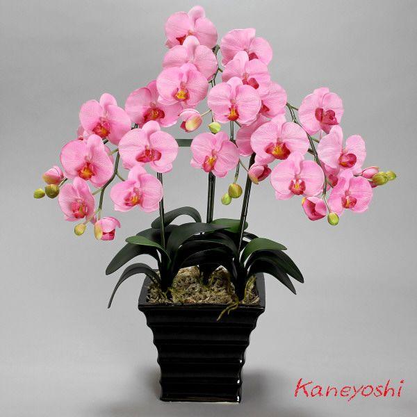 レビューで送料無料 送料無料 お祝い お供えの花 仏花 フラワーギフト 光触媒胡蝶蘭大輪 ３本立 ピンク 現金特価 Www Simon Page Com