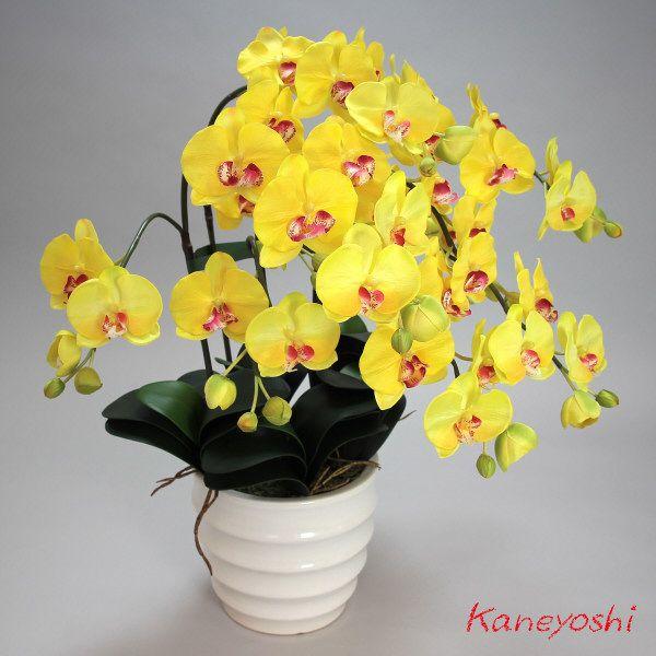光触媒 胡蝶蘭 造花 インテリア 大輪 5本立 イエロー 黄色 お祝 ギフト 記念品 誕生日 発表会 新築 開店 花 フェイクグリーン 空気清浄 |  | 02