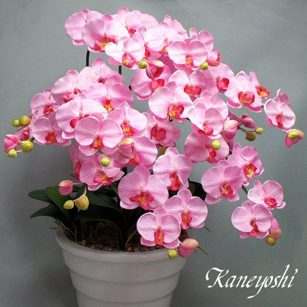 光触媒 胡蝶蘭 造花 インテリア 大輪 7本立 ピンク 桃色 お祝 ギフト 記念品 誕生日 発表会 新築 開店 花 フェイクグリーン 空気清浄 |  | 01