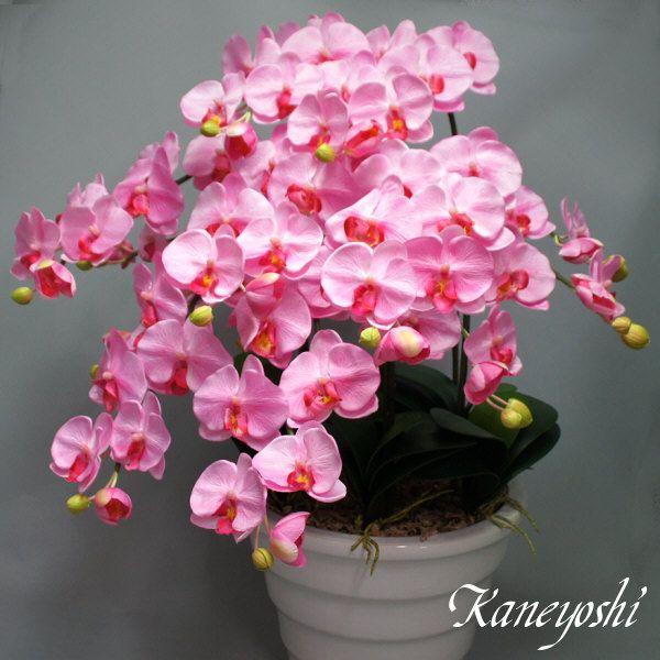光触媒 胡蝶蘭 造花 インテリア 大輪 7本立 ピンク 桃色 お祝 ギフト 記念品 誕生日 発表会 新築 開店 花 フェイクグリーン 空気清浄 |  | 02