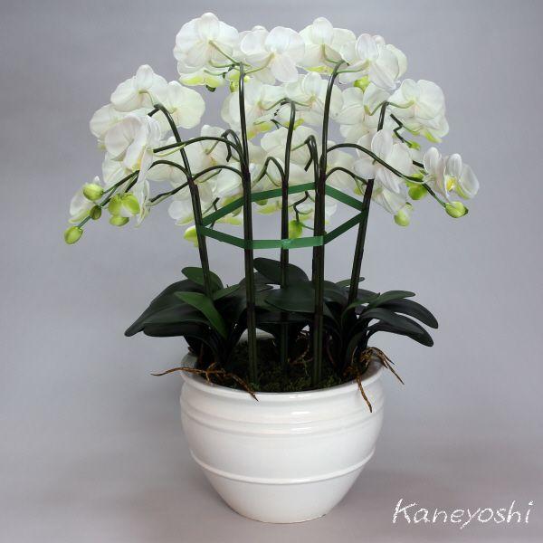 光触媒 胡蝶蘭 造花 インテリア 大輪 7本立 ホワイトＢ 白色 お祝 ギフト 記念品 誕生日 発表会 新築 開店 花 フェイクグリーン 空気清浄 |  | 03