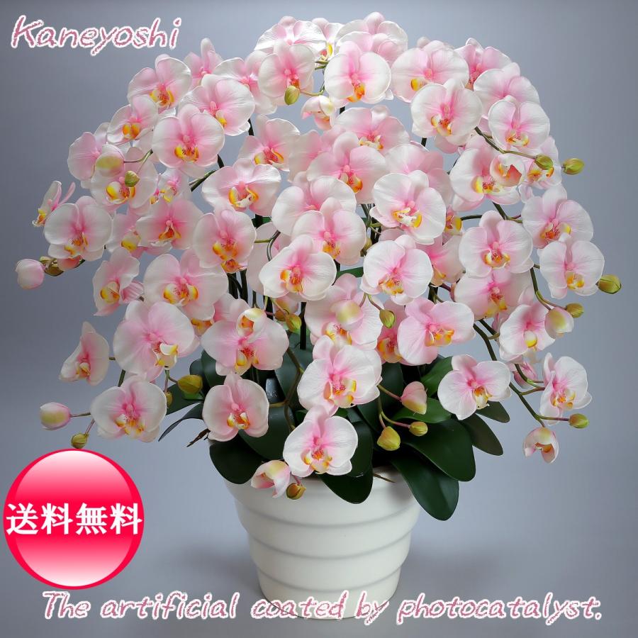 激安の 送料無料 お祝い お供えの花 仏花 フラワーギフト 光触媒胡蝶蘭大輪 １０本立 ミルキーピンク 注目の Www Thedailyspud Com