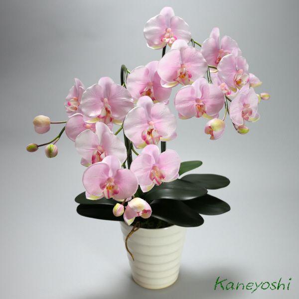 光触媒 胡蝶蘭 造花 インテリア 大輪 2本立 サクラピンク 桃色 お祝 ギフト 記念品 誕生日 発表会 新築 開店 花 フェイクグリーン 空気清浄 |  | 01