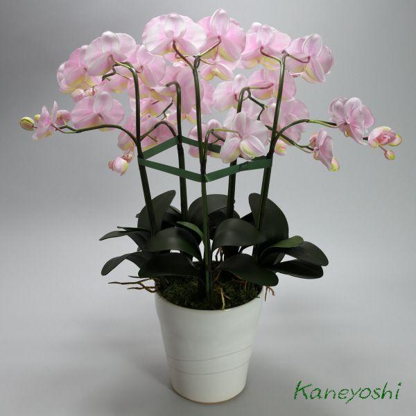 光触媒 胡蝶蘭 造花 インテリア 大輪 5本立 サクラピンク 桃色 お祝 ギフト 記念品 誕生日 発表会 新築 開店 花 フェイクグリーン 空気清浄 |  | 03