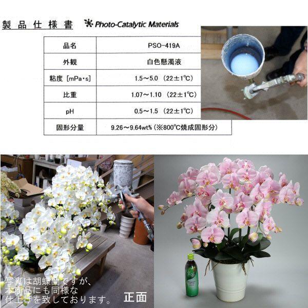 光触媒 胡蝶蘭 造花 インテリア 大輪 5本立 サクラピンク 桃色 お祝 ギフト 記念品 誕生日 発表会 新築 開店 花 フェイクグリーン 空気清浄 |  | 04