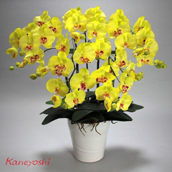 光触媒 胡蝶蘭 造花 インテリア 大輪 5本立 ライトイエロー 黄色 お祝 ギフト 記念品 誕生日 発表会 新築 開店 花 フェイクグリーン 空気清浄 |  | 01