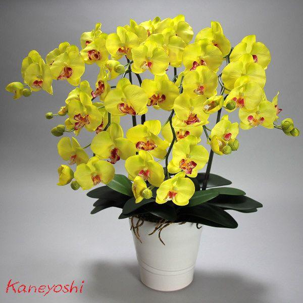 光触媒 胡蝶蘭 造花 インテリア 大輪 5本立 ライトイエロー 黄色 お祝 ギフト 記念品 誕生日 発表会 新築 開店 花 フェイクグリーン 空気清浄 |  | 02