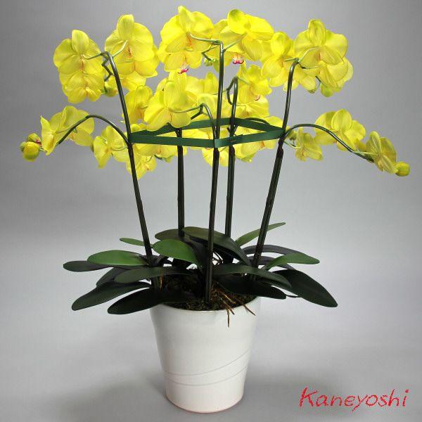 光触媒 胡蝶蘭 造花 インテリア 大輪 5本立 ライトイエロー 黄色 お祝 ギフト 記念品 誕生日 発表会 新築 開店 花 フェイクグリーン 空気清浄 |  | 04