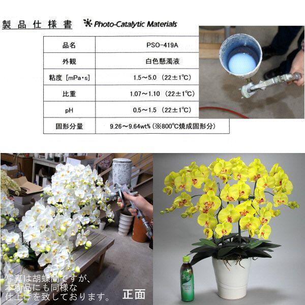 光触媒 胡蝶蘭 造花 インテリア 大輪 5本立 ライトイエロー 黄色 お祝 ギフト 記念品 誕生日 発表会 新築 開店 花 フェイクグリーン 空気清浄 |  | 05