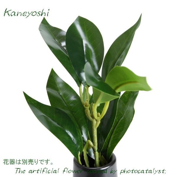 お供えの花　仏花　フラワーギフト　光触媒　２０ｃｍ　シキビ　ミニミニ　１本 | 