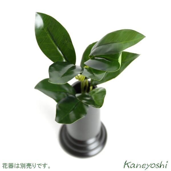 お供えの花　仏花　フラワーギフト　光触媒　２０ｃｍ　シキビ　ミニミニ　１本 |  | 01