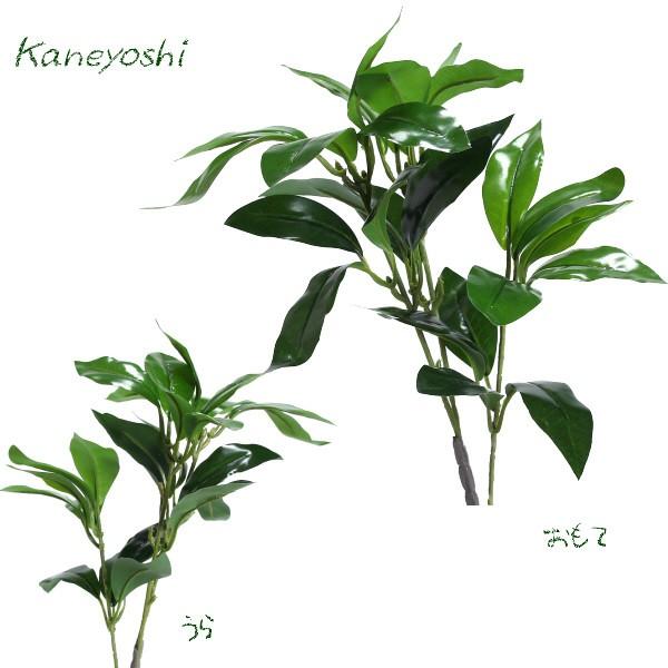 お供えの花　仏花　フラワーギフト　光触媒　３０ｃｍ　ニューシキビミニ |  | 01