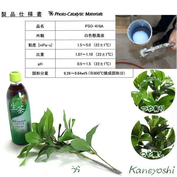 お供えの花　仏花　フラワーギフト　光触媒　３０ｃｍ　ニューシキビミニ |  | 02