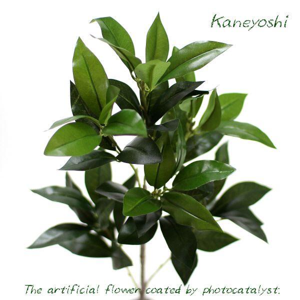 お供えの花　仏花　フラワーギフト　７０ｃｍ　光触媒　シキビ | 