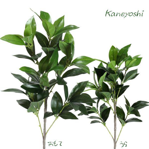 お供えの花　仏花　フラワーギフト　７０ｃｍ　光触媒　シキビ |  | 01