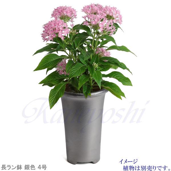 花柄陶器ランプ希少特大美品❣️ 植木鉢 おしゃれ 安い 陶器 サイズ 25.5cm フラワーロード 8号