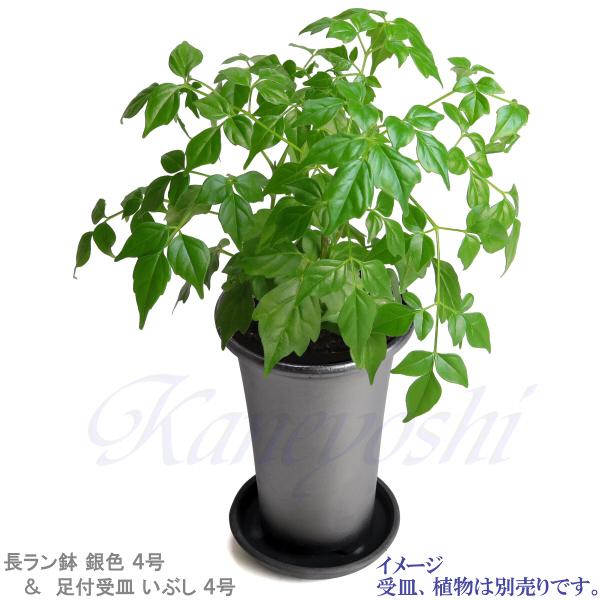 植木鉢 おしゃれ 安い 陶器 サイズ 13cm 長ラン鉢 4号 銀色 室内 植木鉢 おしゃれ 安い 陶器 サイズ 13cm 長ラン鉢 4号 銀色 室内
