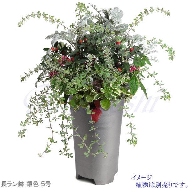植木鉢 おしゃれ 安い 陶器 サイズ 16.5cm 長ラン鉢 5号 銀色 足