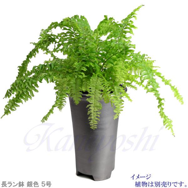 植木鉢 おしゃれ 安い 陶器 サイズ 16.5cm 長ラン鉢 5号 銀色 室内 屋外 いぶし グレー 色 |  | 08