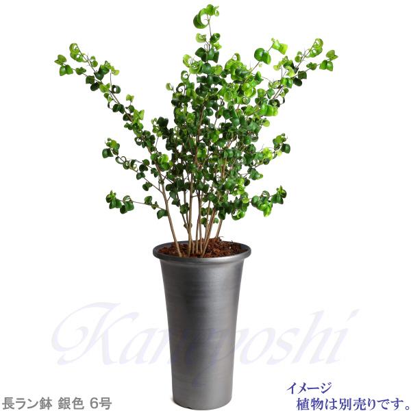 植木鉢 おしゃれ 安い 陶器 サイズ 18.5cm 長ラン鉢 6号 銀色 室内 屋外 いぶし グレー 色 |  | 09