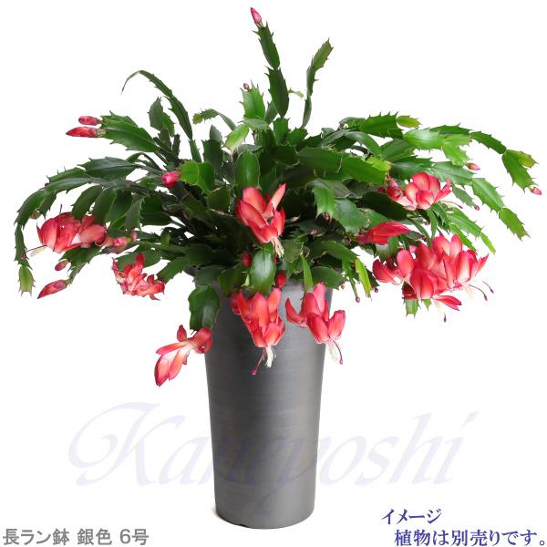 植木鉢 おしゃれ 安い 陶器 サイズ 18.5cm 長ラン鉢 6号 銀色 室内 屋外 いぶし グレー 色 |  | 10